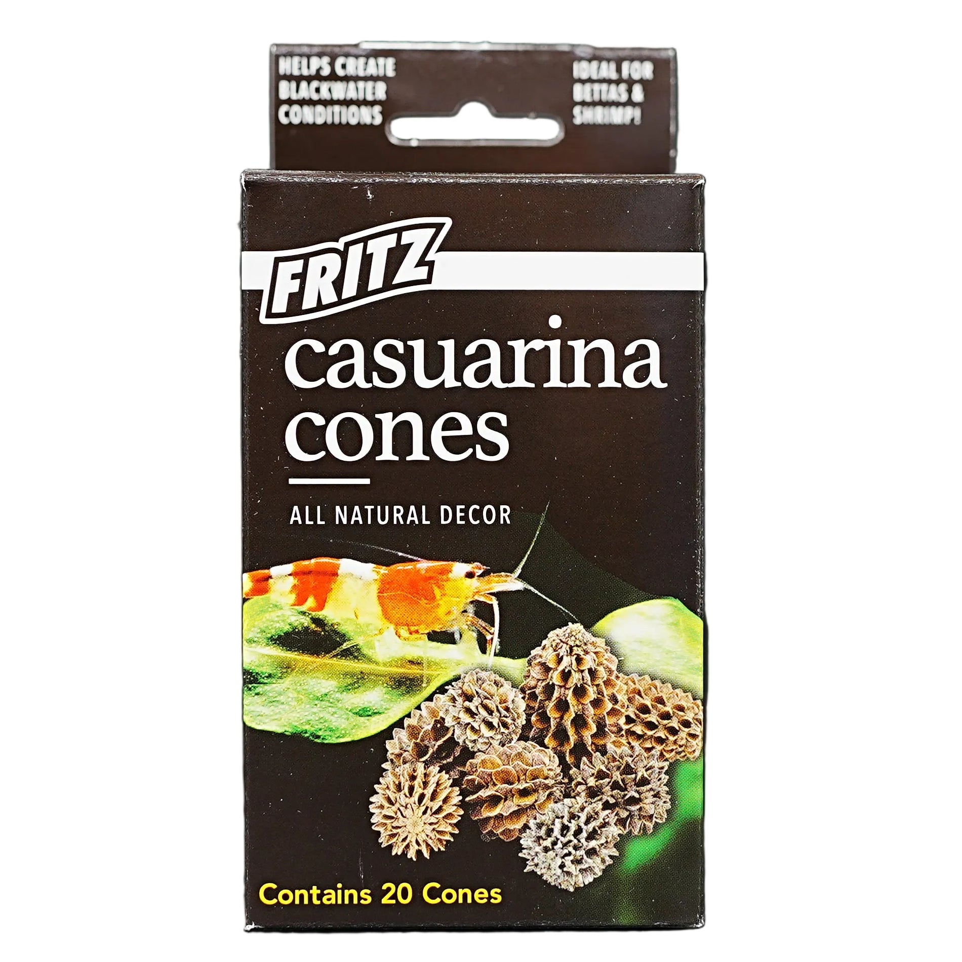 Fritz Casuarina Cones 20pk