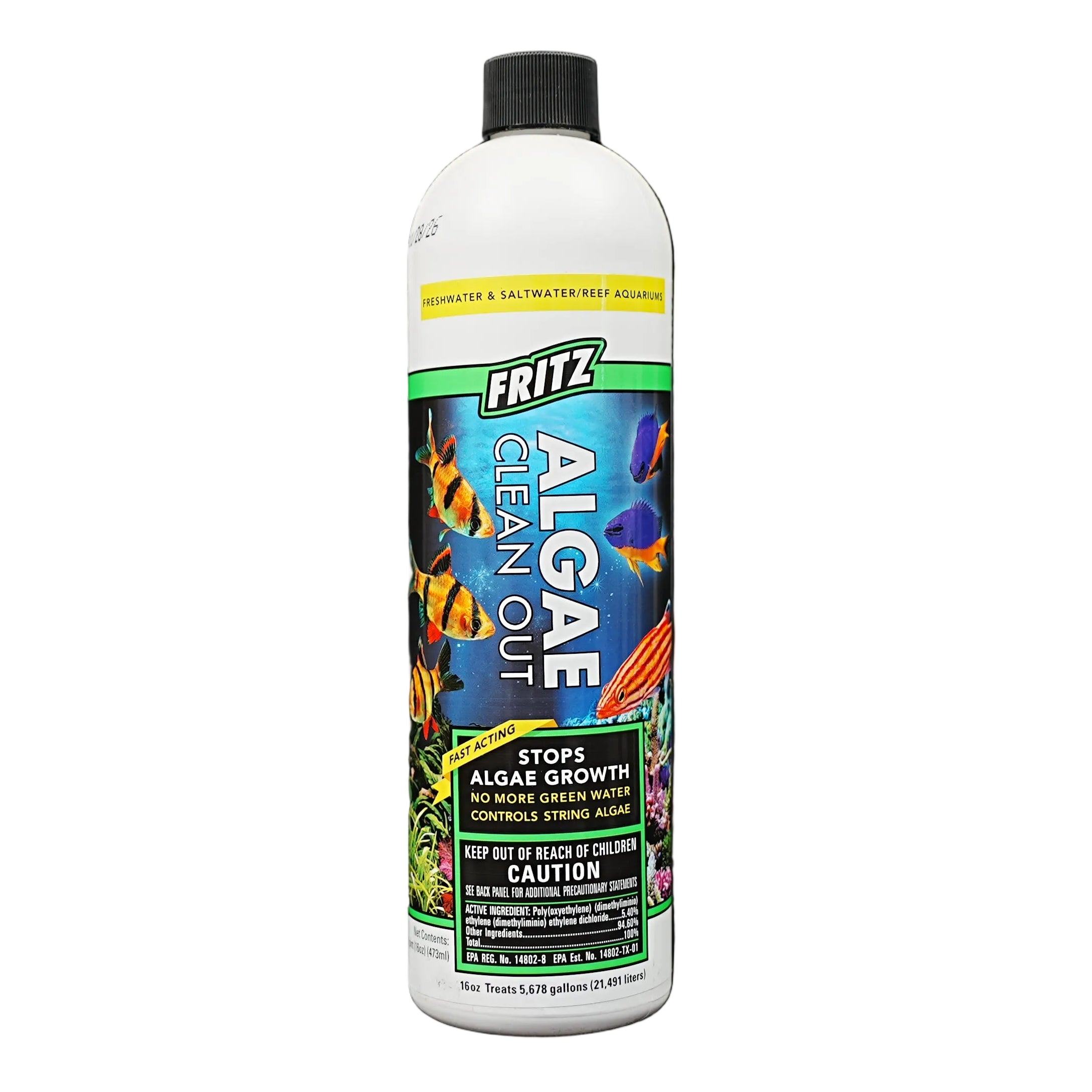 Fritz Algae Clean Out