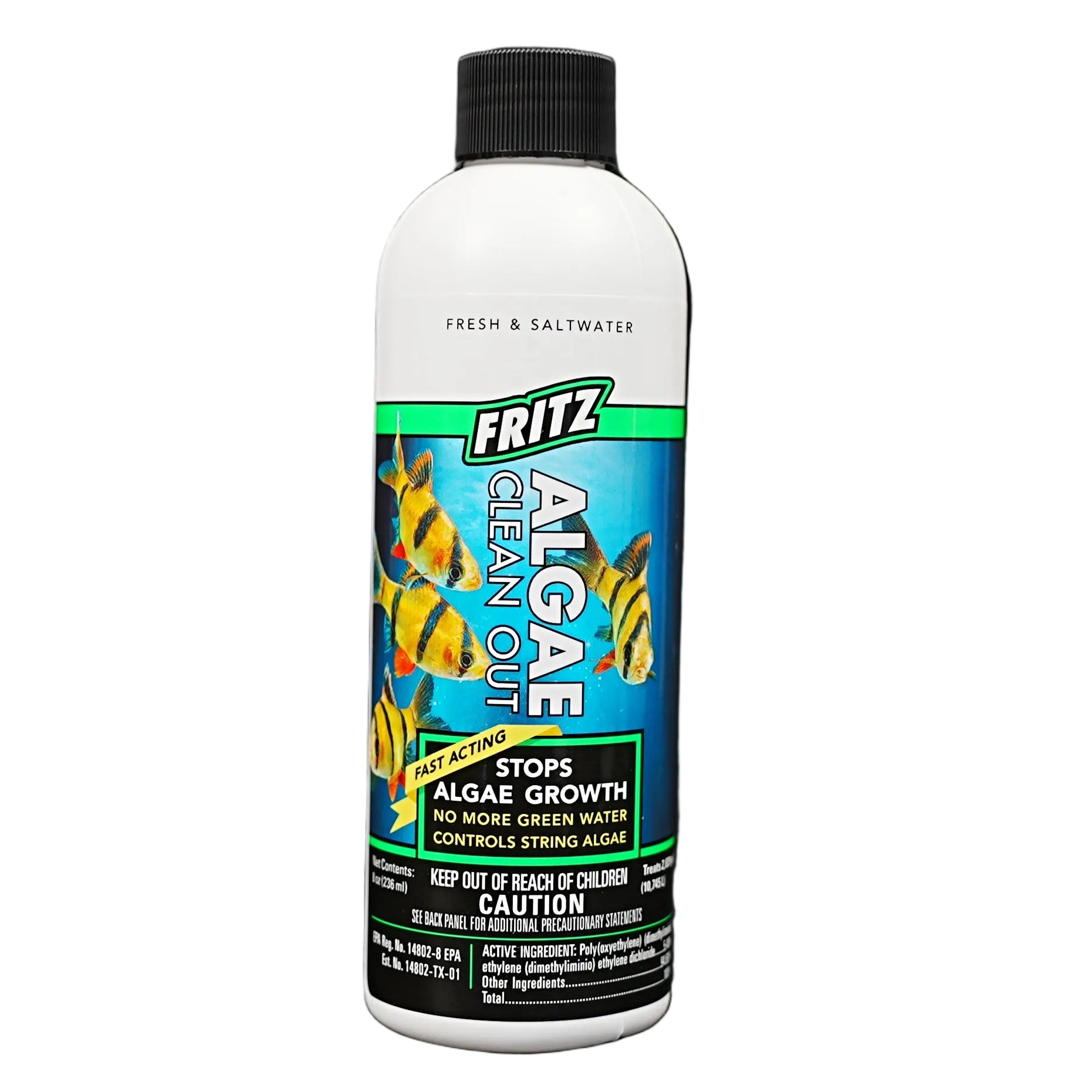 Fritz Algae Clean Out