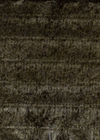 GREEN MARINE ALGAE WITH NATURAL GARLIC EXTRACT OCEANS NUTRITION